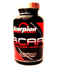 Scorpion Nutrition BCAA’s 120 Tabs